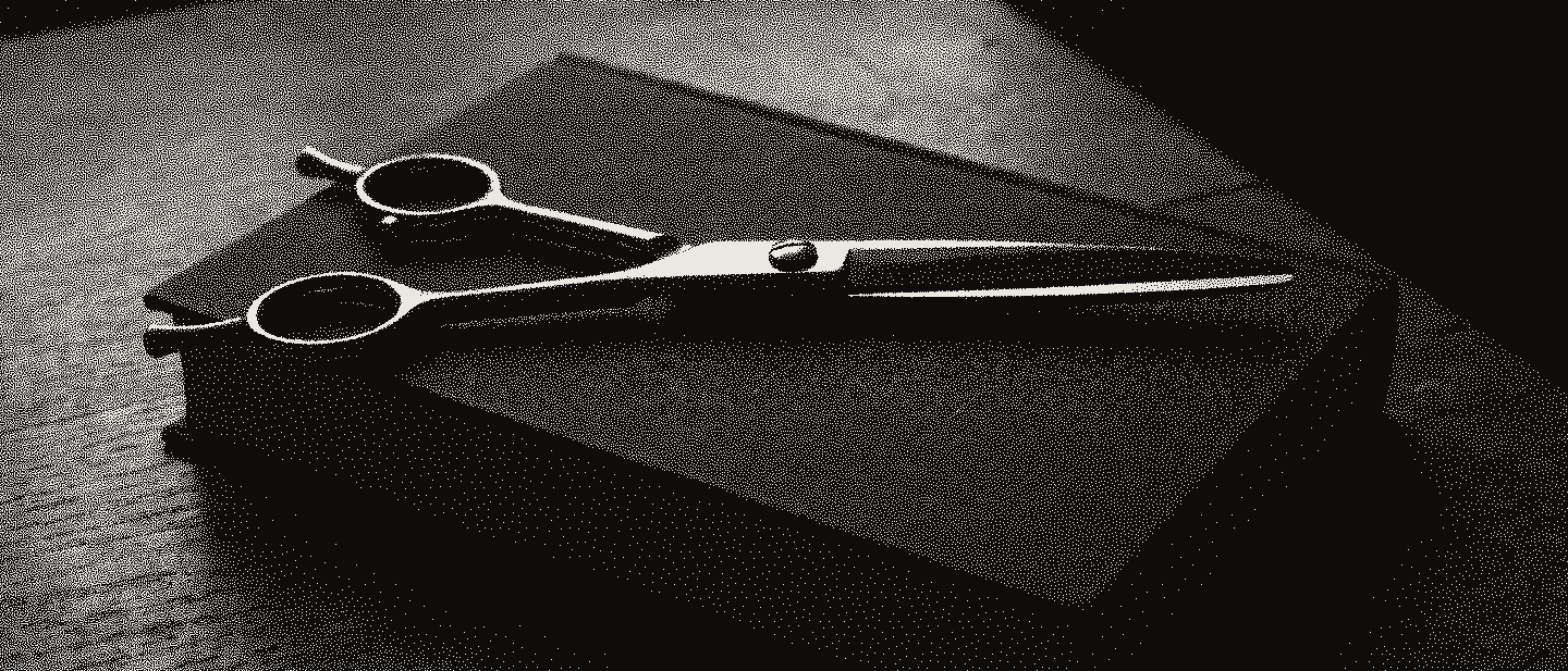 A pair of steel barber's shears, nearly closed, lying across a closed dark cloth book on an oak table in window light.