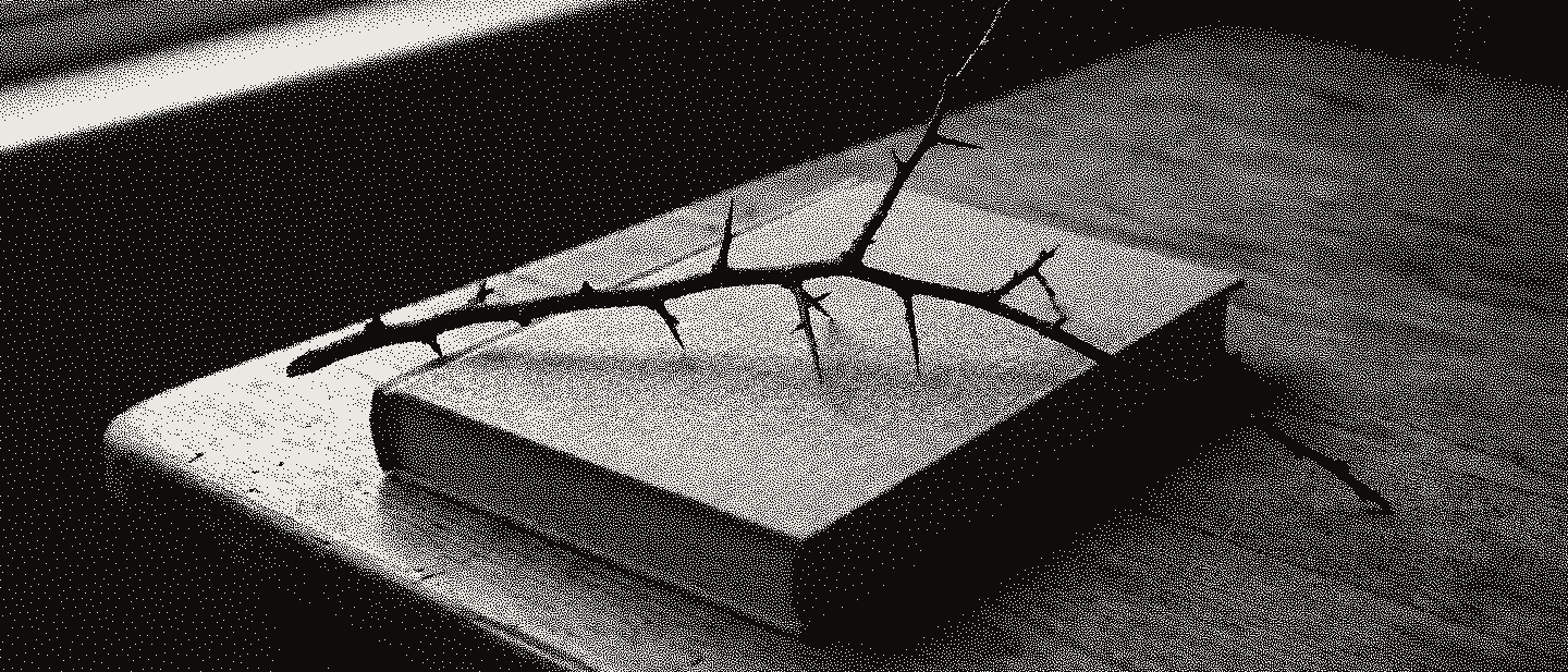 A long bare blackthorn branch laid across a closed pale linen book, its tips resting on a worn wooden table.
